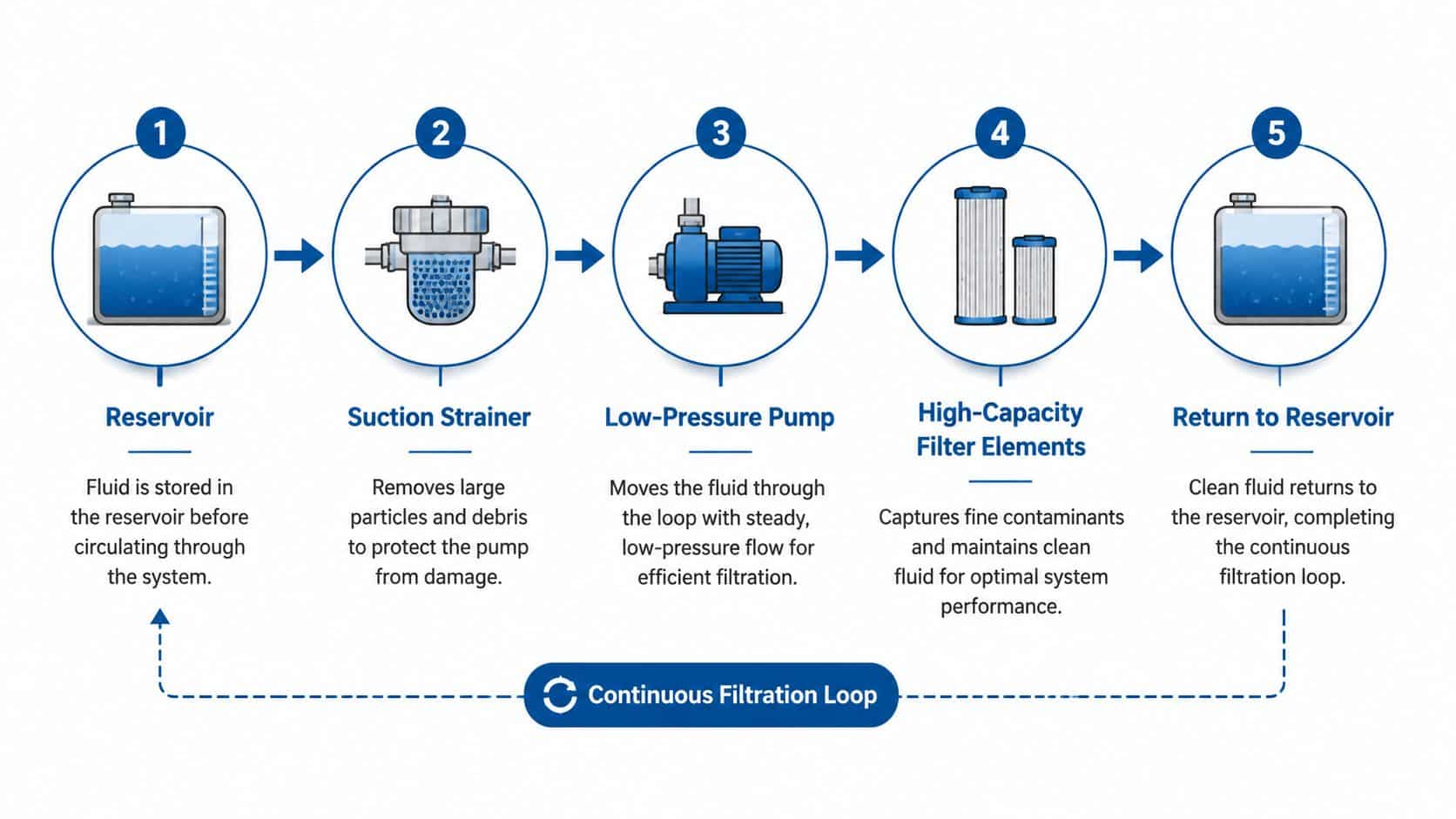 A diagram illustrating a kidney loop filtration process consisting of five stages in a continuous cycle.